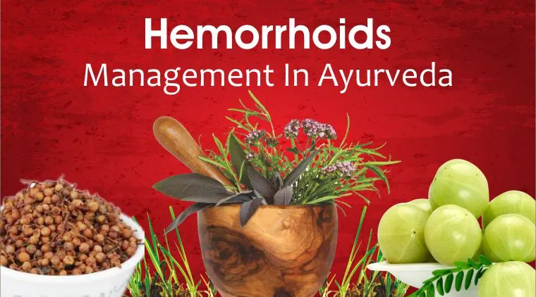 Hemorrhoids Management In Ayurveda